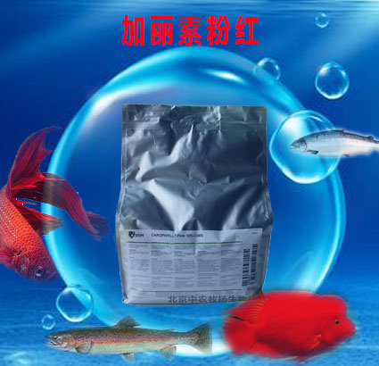 加麗素粉紅內(nèi)頁(yè)