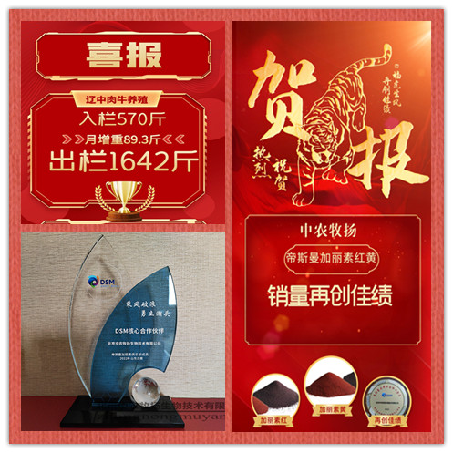 喜報(bào)