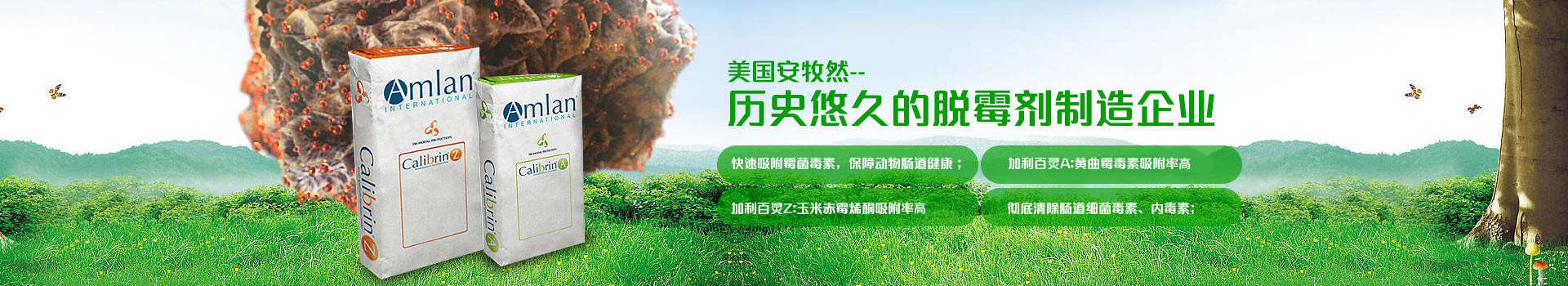 美國安牧然，歷史悠久的脫霉劑制造企業(yè)
